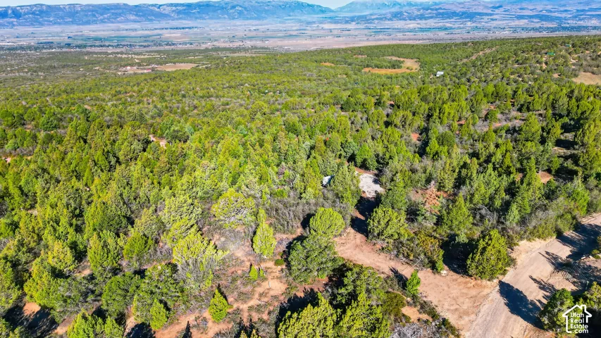 169 S Nob Hill Dr, Mt Pleasant, Utah 84647