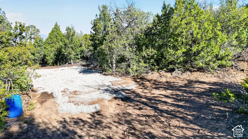 169 S Nob Hill Dr, Mt Pleasant, Utah 84647