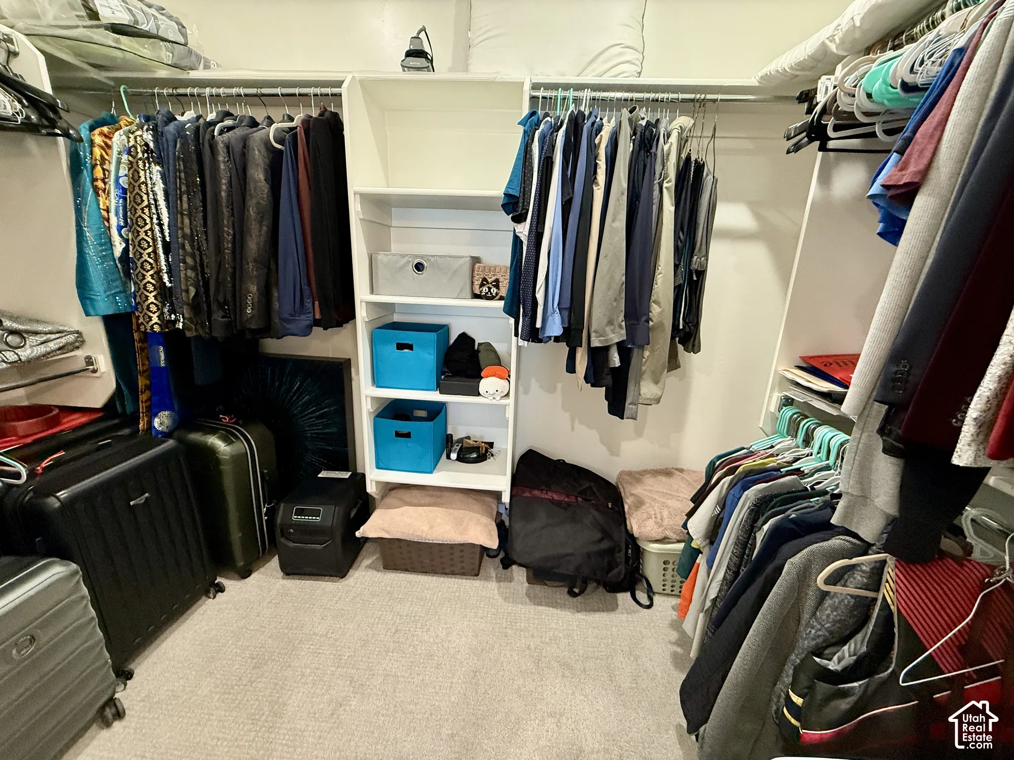 Walk-in closet featuring white built-in shelving, multiple hanging rods, and light-colored carpeting