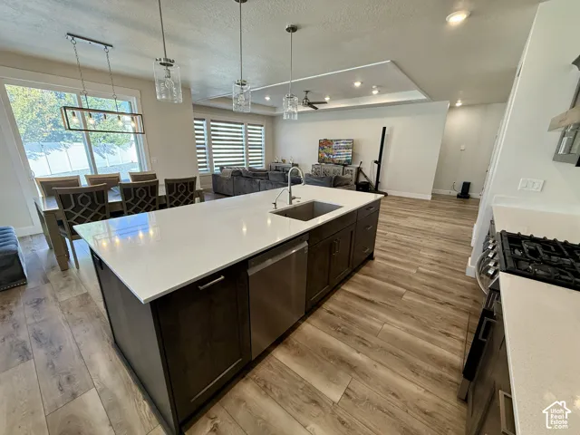 Kitchen island featuring a stainless steel sink and dishwasher