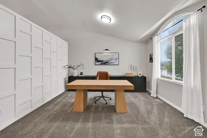 Vaulted ceiling, arched window, and wall paneling