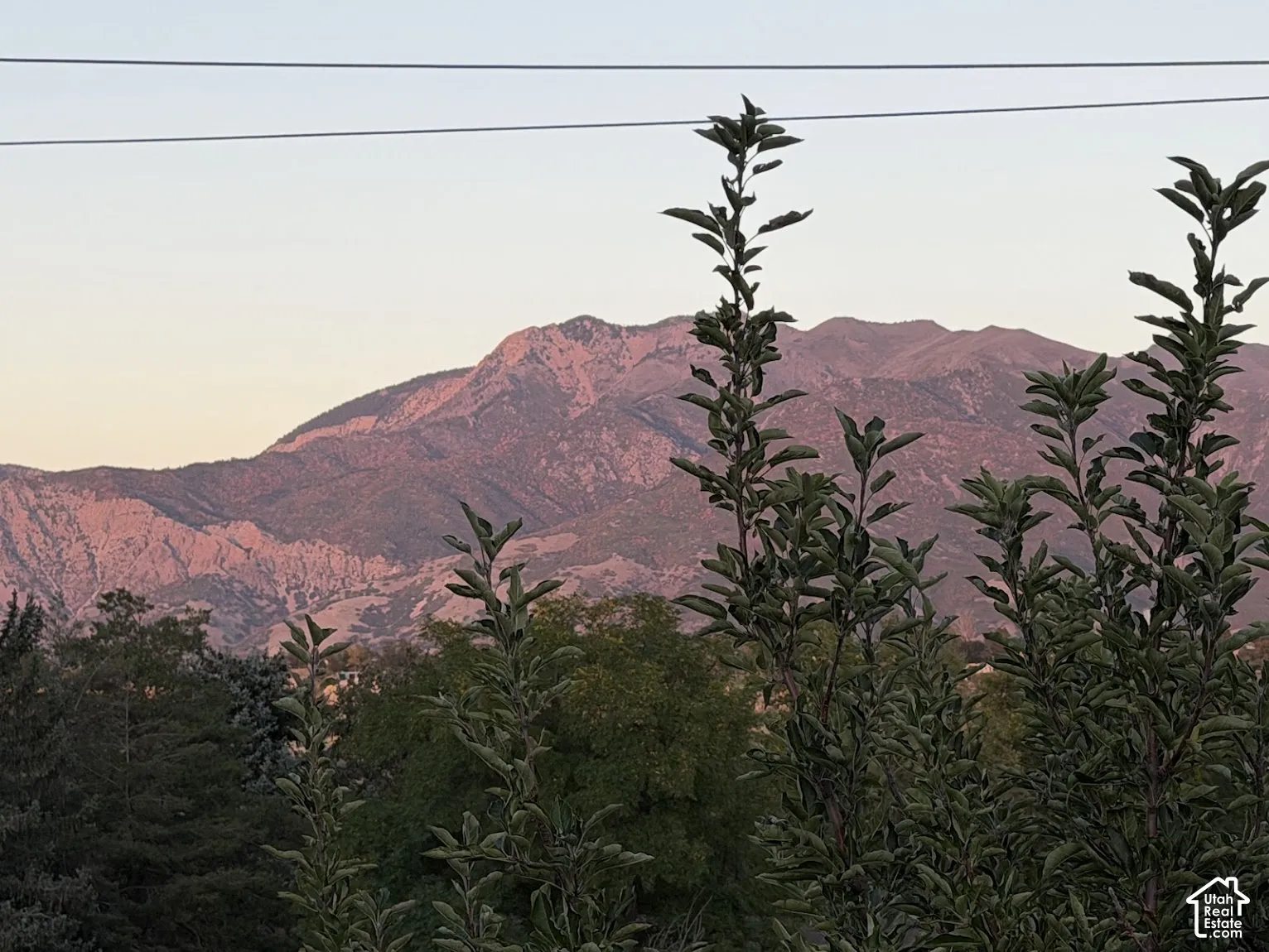 Mountain backdrop with varied terrain, featuring extensive tree coverage in the foreground