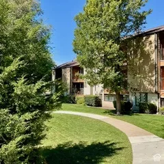 Manicured lawn with a winding paved walkway, mature trees, and shrubs