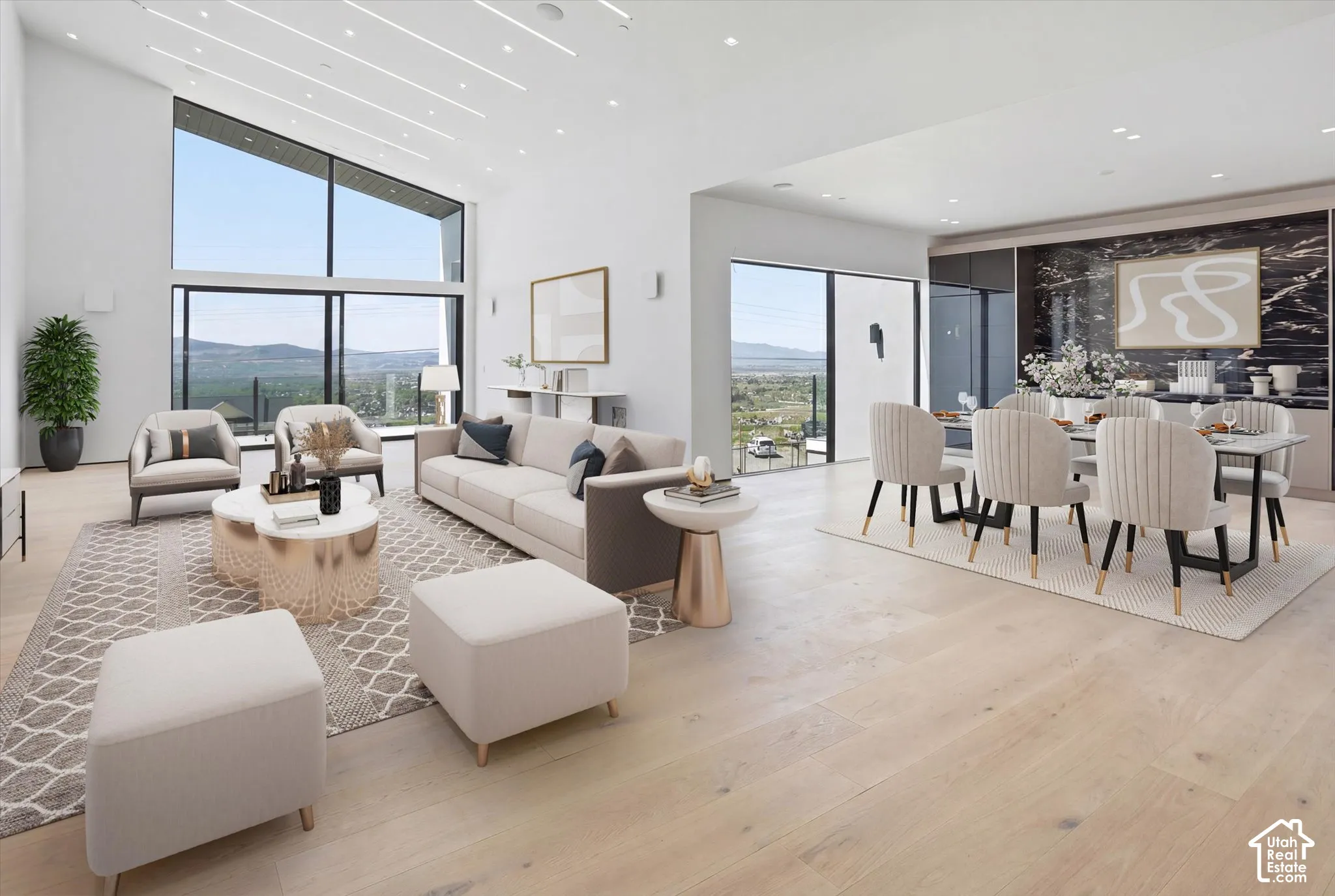 Entertainers dream spaces