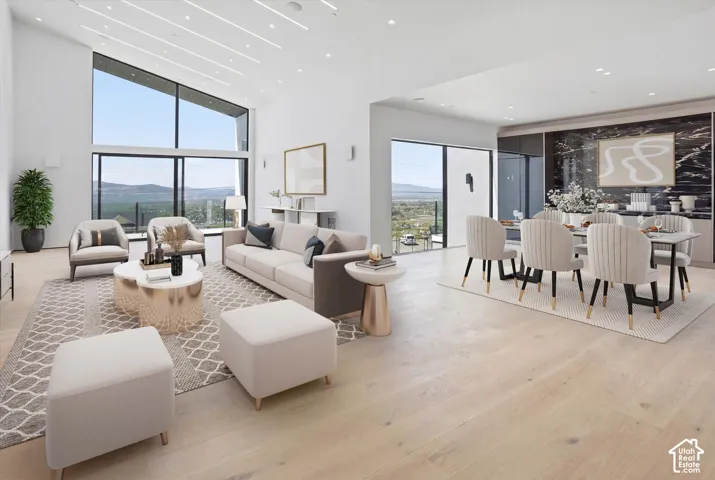 Entertainers dream spaces