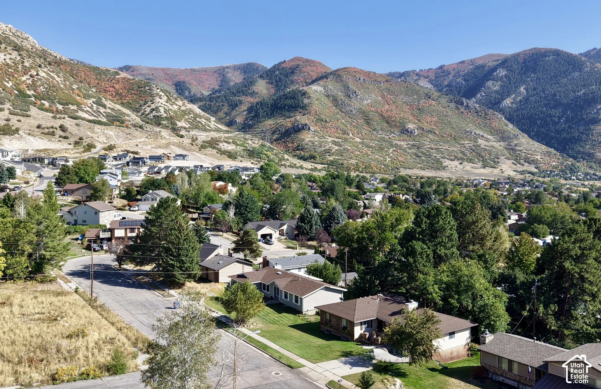 Residential area with established landscaping and mountain backdrop