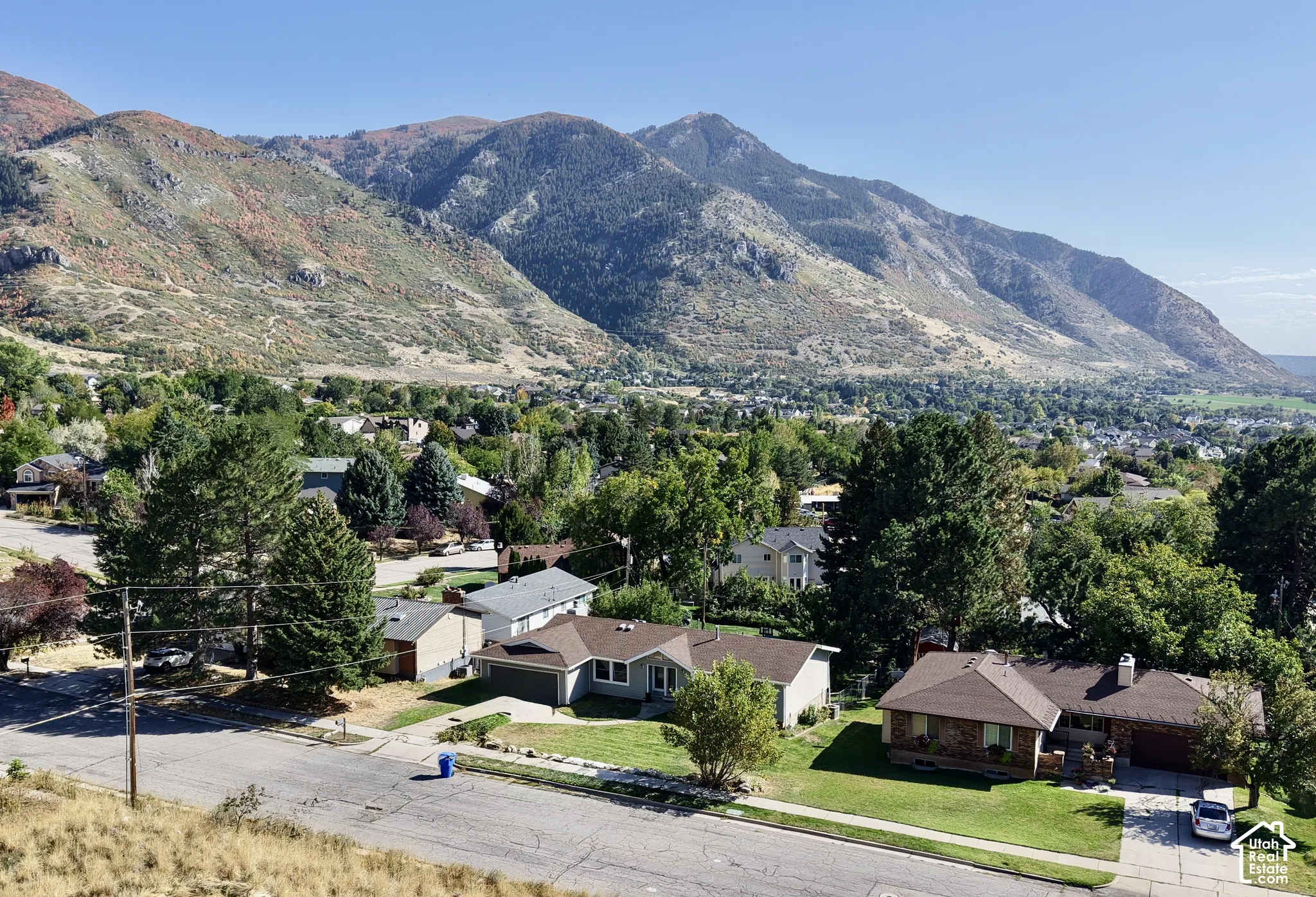 Mountain backdrop over a residential street with mature trees