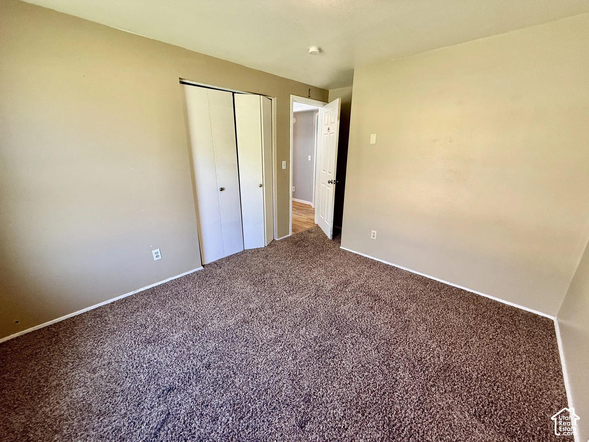 Wall-to-wall carpeting and neutral wall tones