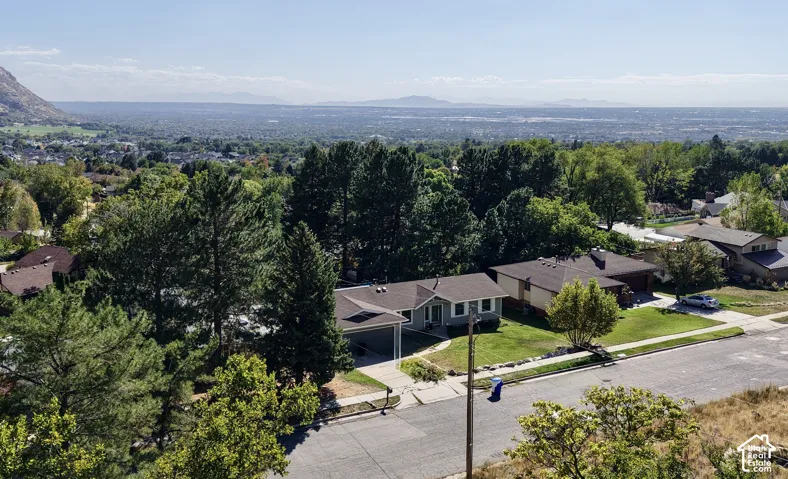 Expansive neighborhood with mature trees and mountain backdrop