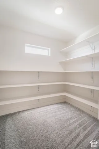Storage closet off bonus room digitally altered with carpet