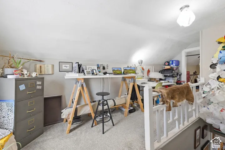 Angled ceiling with a flush-mount light fixture, white banister, and carpeted flooring