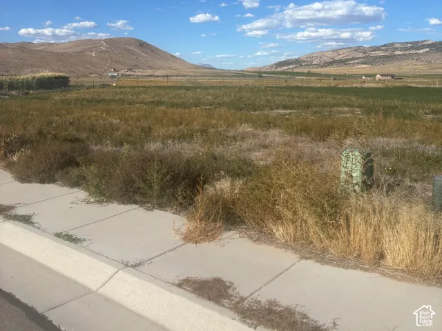 Expansive natural landscape with distant mountains and a clear sky, featuring a concrete curb and sidewalk
