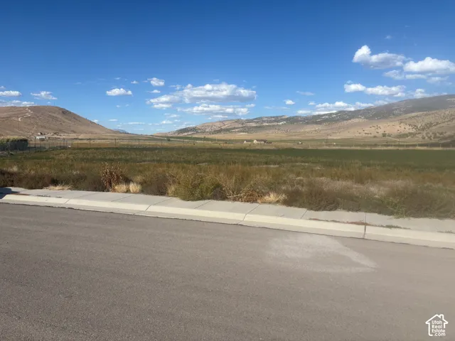 Paved road frontage with concrete curbing and an expansive natural landscape