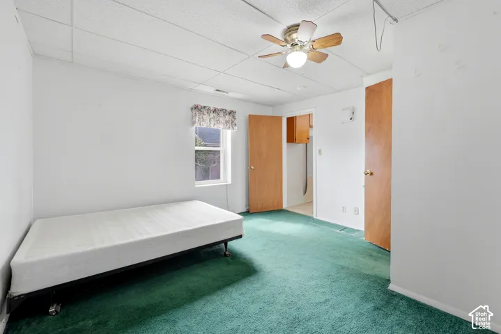 Green carpeted room featuring a ceiling fan with light, a window, and two wood-finish doors