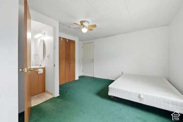 Wall-to-wall carpeting and a ceiling fan with integrated lighting