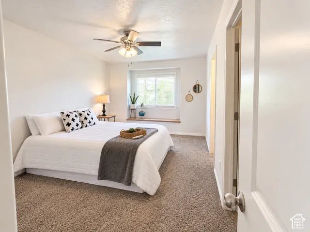 Carpet flooring and a ceiling fan with integrated lighting