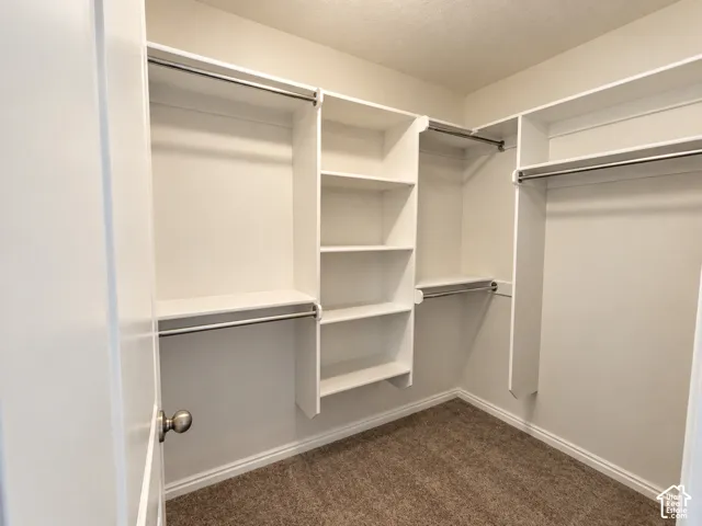 Walk-in closet featuring built-in shelving, multiple hanging rods, and carpet flooring