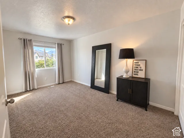 Light-filled room featuring neutral-toned carpeting, a window with exterior views, and a ceiling-mounted light fixture