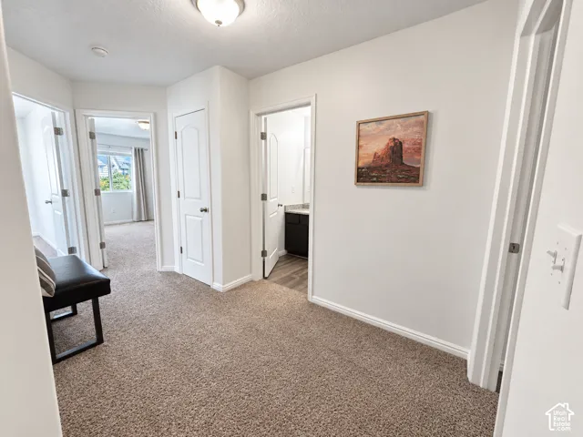 Carpeted hallway with white interior doors, a flush-mount ceiling light fixture, and white trim