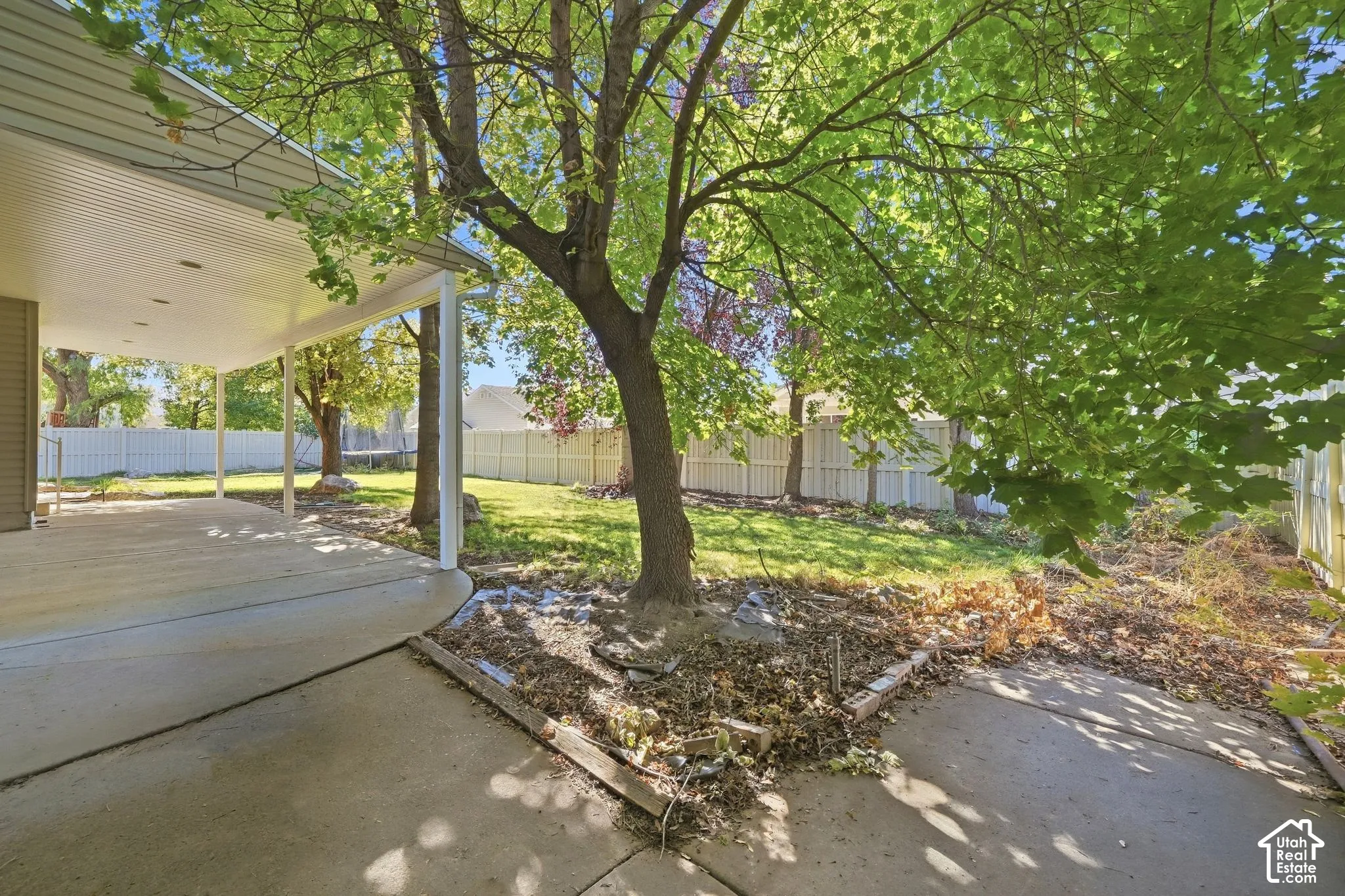 Expansive concrete patio, covered outdoor area, mature tree, manicured lawn, and perimeter fencing