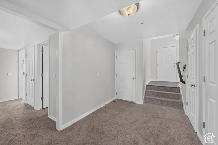 Carpeted flooring extending to stairs, multiple white paneled doors, and a ceiling-mounted light fixture