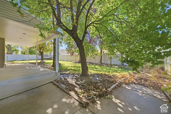 Expansive concrete patio, covered outdoor area, mature tree, manicured lawn, and perimeter fencing