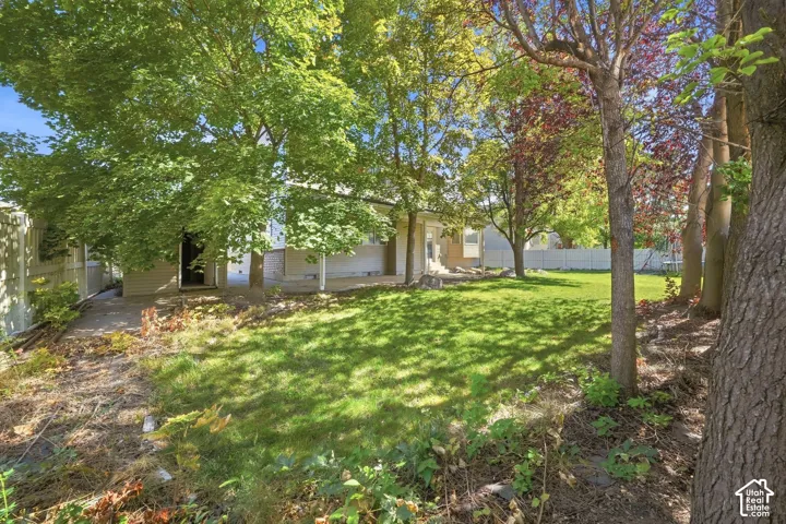 Expansive green lawn with mature trees and a partial privacy fence