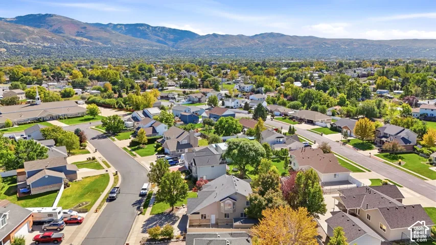 Aerial perspective of a residential community with mature trees and a distant mountain backdrop