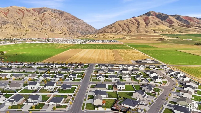 Residential development featuring single-family homes, paved streets, and manicured landscaping