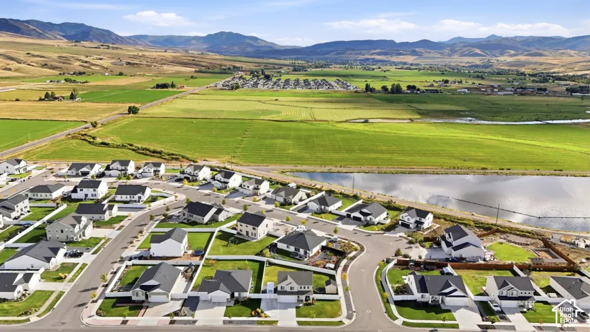 Residential neighborhood with developed streetscapes, established landscaping, and adjacent water feature