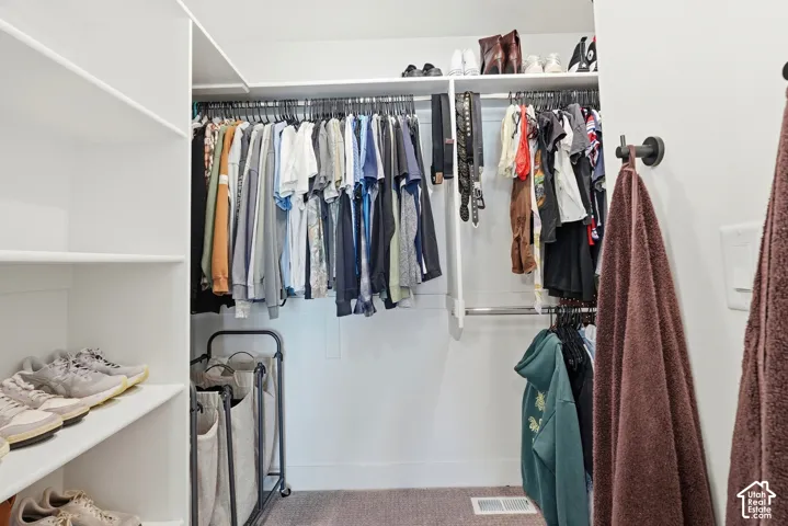 Built-in shelving, multiple hanging rods, and dark wall-mounted hooks