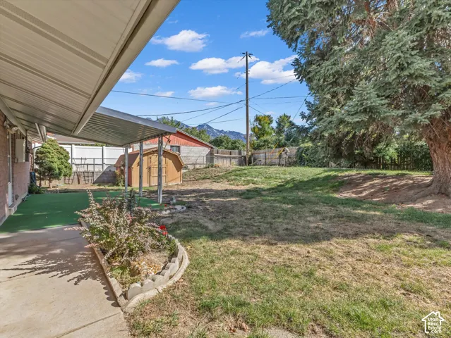 Expansive backyard featuring a large tree, partial concrete patio, and a utility shed