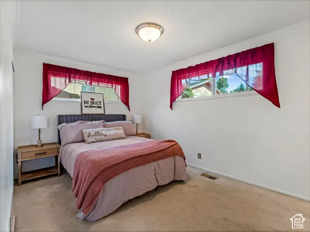Carpeted flooring with white walls and crown molding