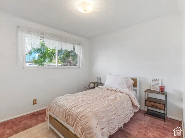 Window with outdoor foliage visible, white painted walls, and textured ceiling