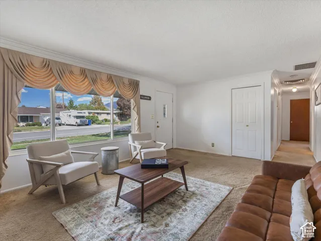 Expansive picture window, crown molding, white painted walls, and a hallway entry