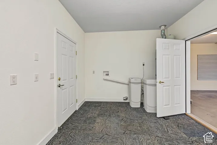 Utility area featuring patterned carpet flooring, white paneled doors, and installed water treatment systems