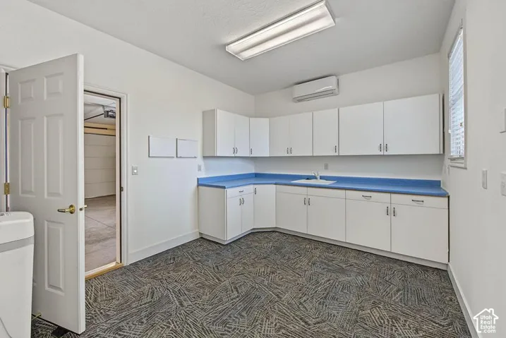 White cabinetry with blue countertops, integrated sink, and overhead fluorescent lighting