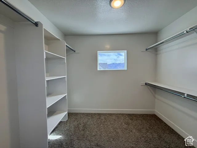 Built-in shelving unit, wall-mounted hanging rods, upper storage shelves, recessed ceiling light, and a window