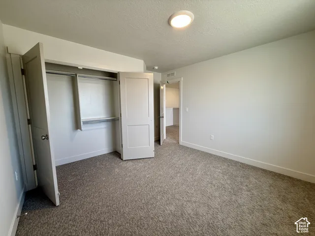 Neutral wall finishes with a ceiling-mounted light fixture, soft carpet flooring, and a built-in closet with shelving and hanging rods