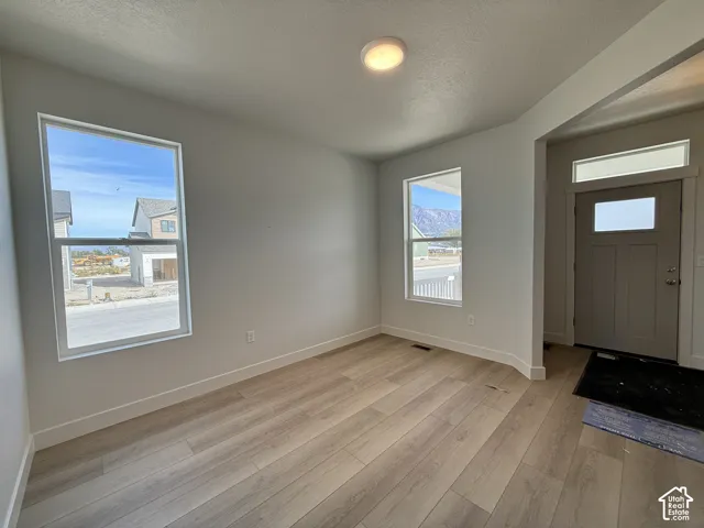 Light-toned wood-finish flooring, two large windows, overhead flush-mount lighting, and a paneled entry door with transom window