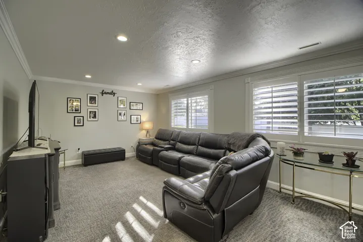 Recessed lighting, crown molding, multiple windows with plantation shutters, and textured carpeting