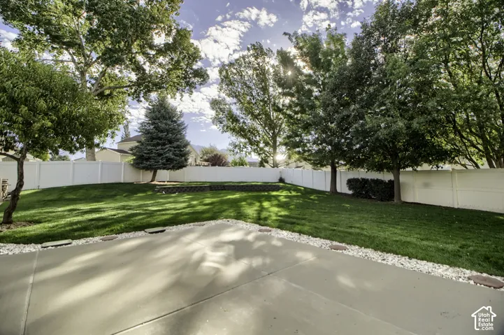 Manicured lawn with mature trees and a privacy fence