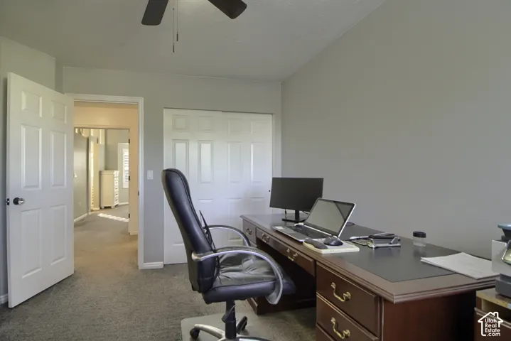 Carpeted flooring, neutral wall tones, and white paneled doors