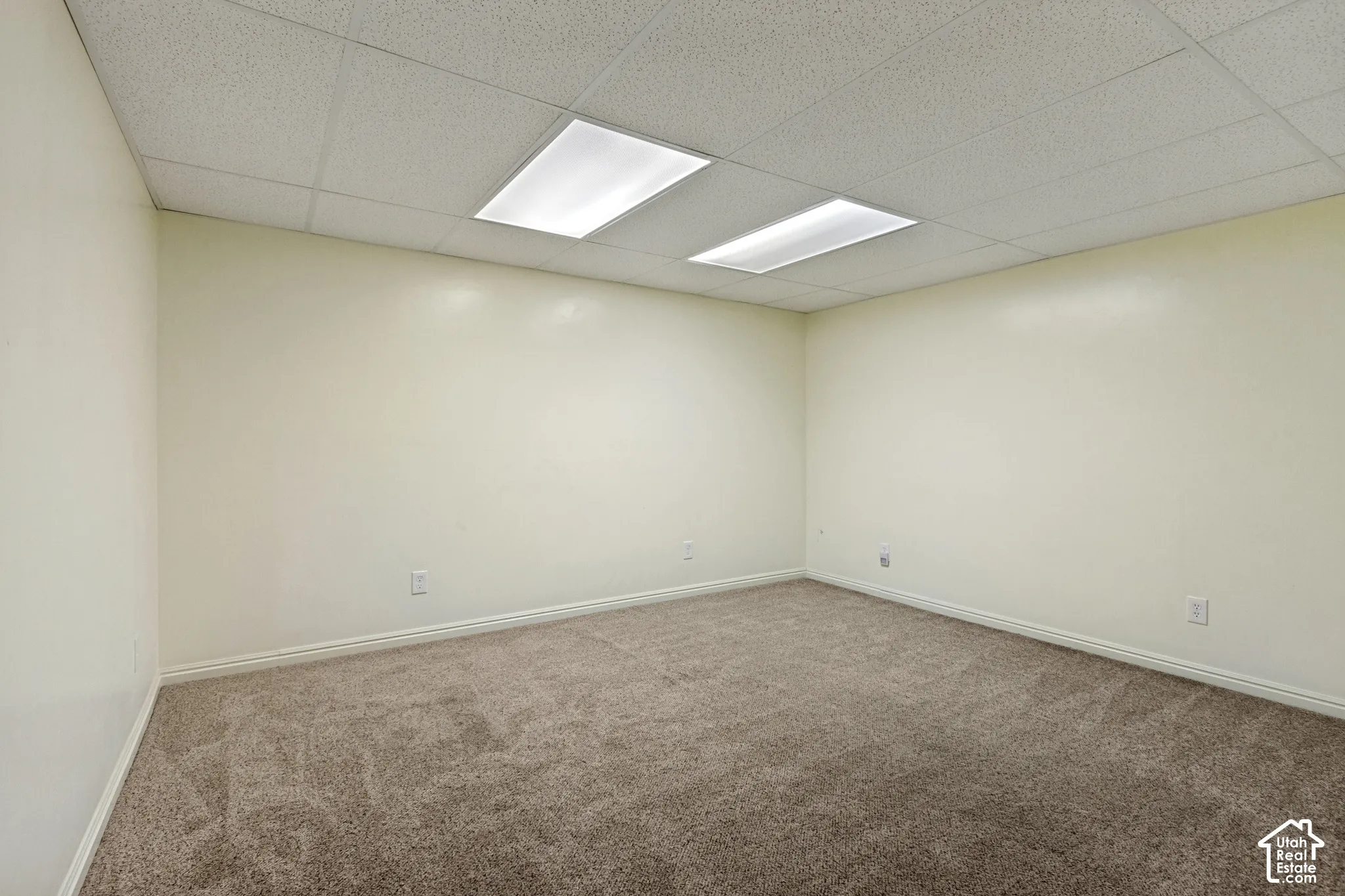 Recessed fluorescent lighting fixtures illuminate the space, featuring neutral-toned walls and plush carpeting