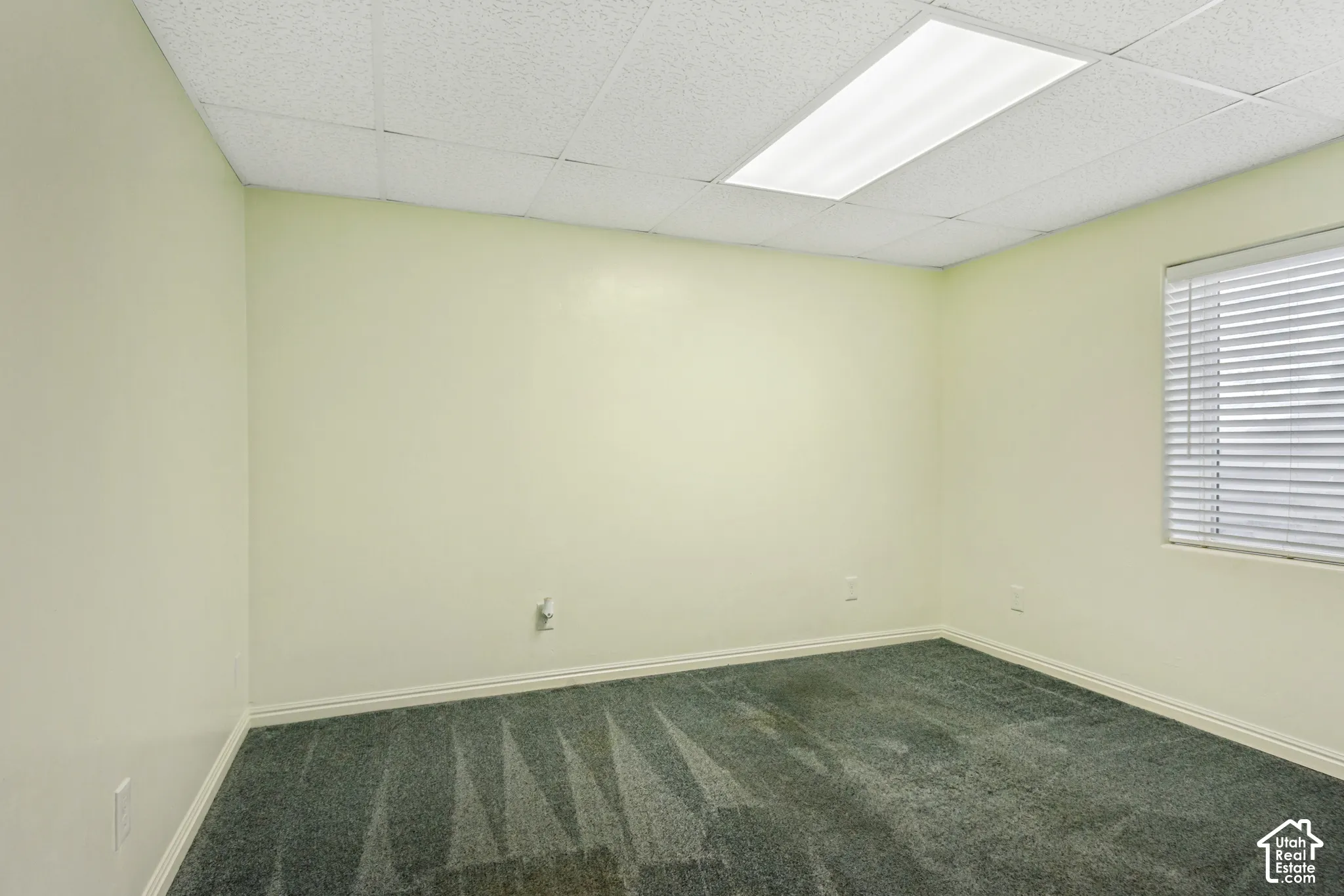 Recessed ceiling lighting, drop ceiling, window with horizontal blinds, light-colored walls, and patterned carpet flooring