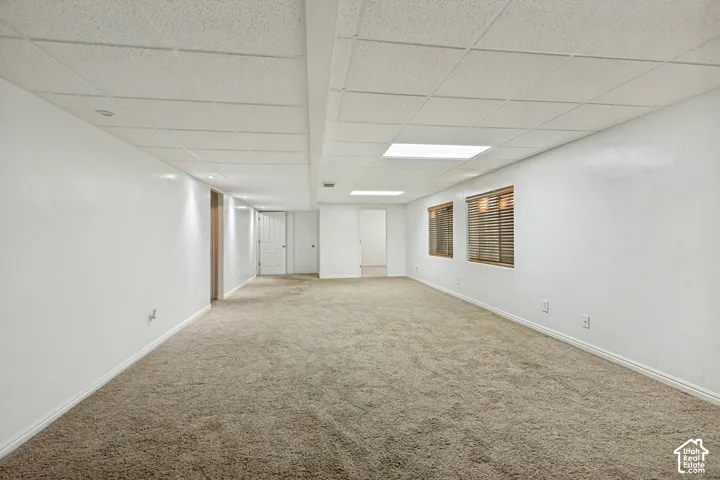 Expansive carpeted area with white walls and a drop ceiling