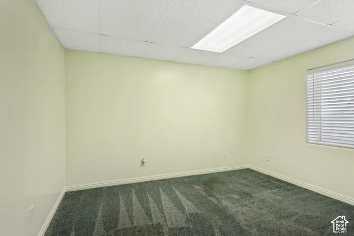 Recessed ceiling lighting, drop ceiling, window with horizontal blinds, light-colored walls, and patterned carpet flooring