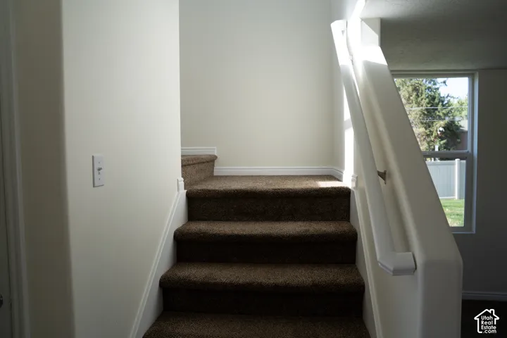Carpeted staircase with painted risers and a white painted handrail
