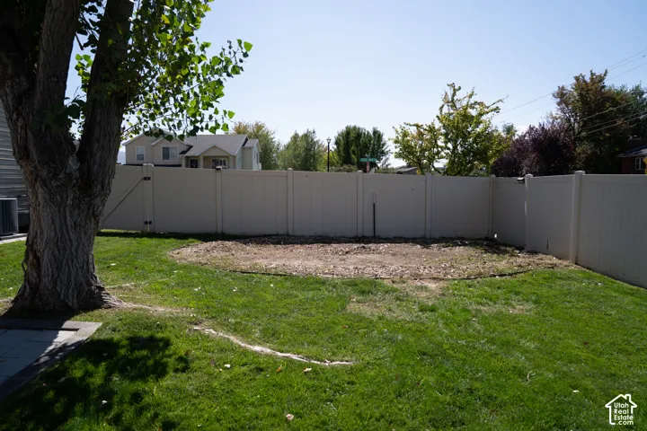 Expansive backyard featuring a manicured lawn, a large mature tree, and a light-colored privacy fence