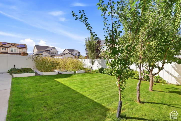 Expansive backyard featuring a lush lawn, multiple mature trees, a privacy fence, and raised garden beds